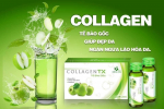 COLLAGEN TX - TẾ BÀO GỐC